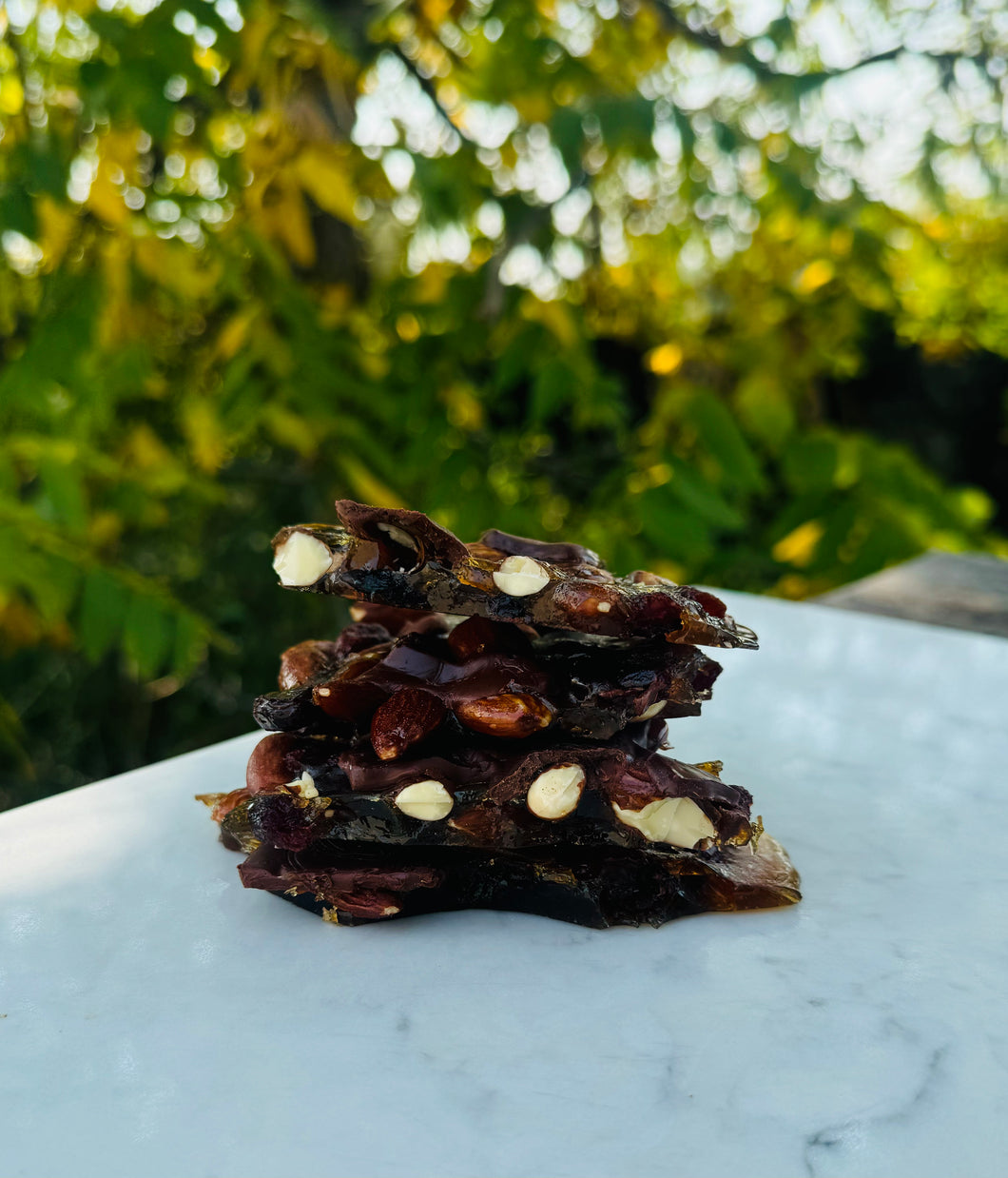 Almond Cranberry Spiced Chocolate Brittle